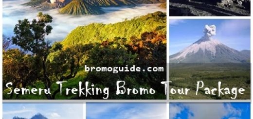 Semeru Trekking Mount Bromo Tour Package 4 Days