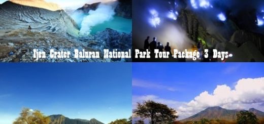 Ijen Crater Tour Baluran National Park 3 Days