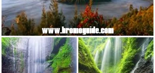 Mt. Bromo Madakaripura Waterfall Tour Package 2 Days 1 Nights