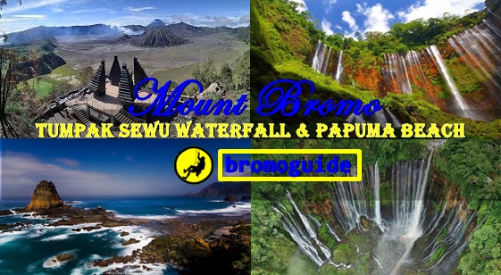 Mount Bromo Tumpak Sewu Waterfall Papuma Beach Tour 4 Days